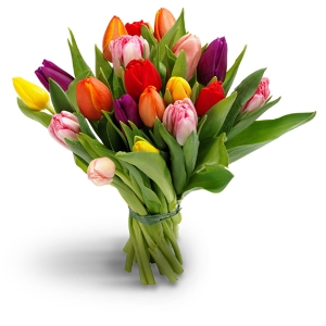 Ramo de 20 tulipanes